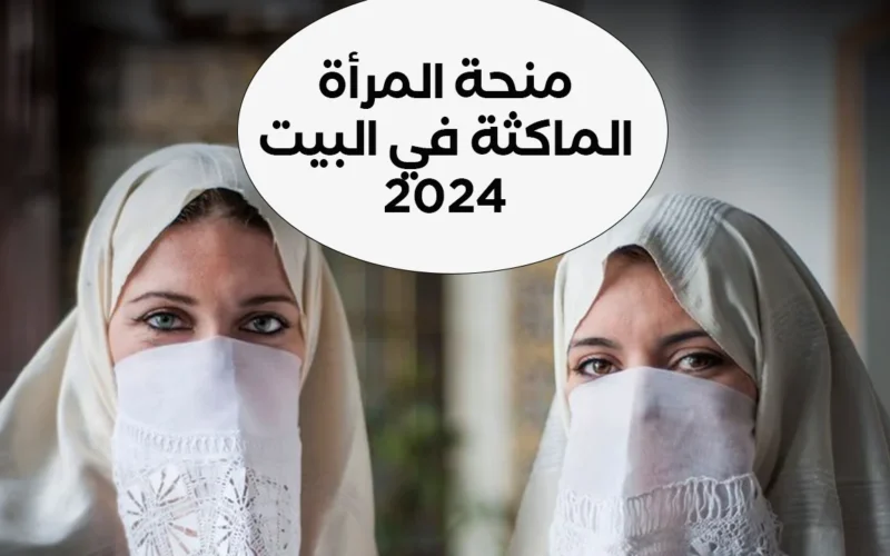 منحة المرأة الماكثة في البيت بالجزائر عام 2024 وخطوات التسجيل في منحة المرأة الماكثة في البيت عبر موقع الوكالة الوطنية للتشغيل