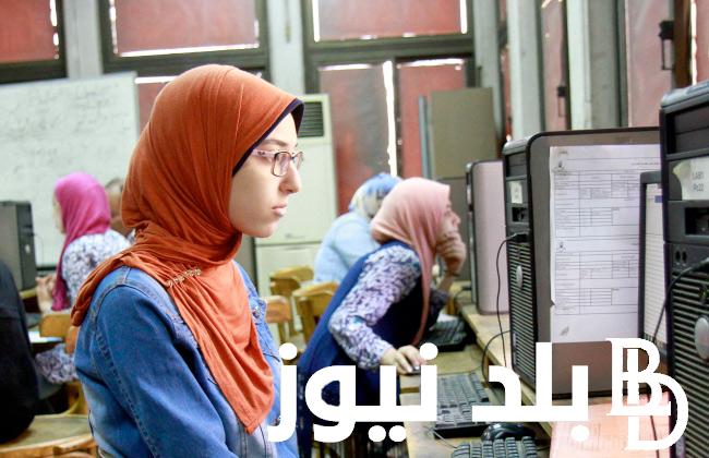 إليكم موقع تقليل الاغتراب 2024 tansik.digital.gov.eg .. تعرف على كيفية الاستعلام عن نتيجة تقليل الاغتراب وشروط قبوله