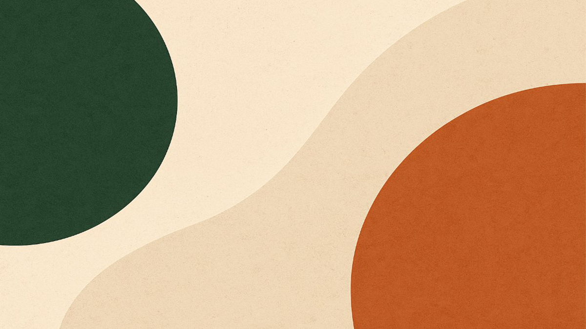 تامر حسني يساند شيرين عبد الوهاب في حفله الأخير بالقاهرة