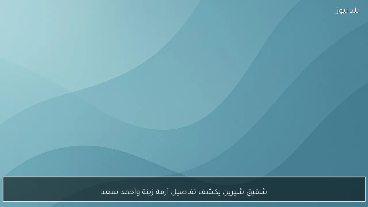 شقيق شيرين يكشف تفاصيل أزمة زينة وأحمد سعد