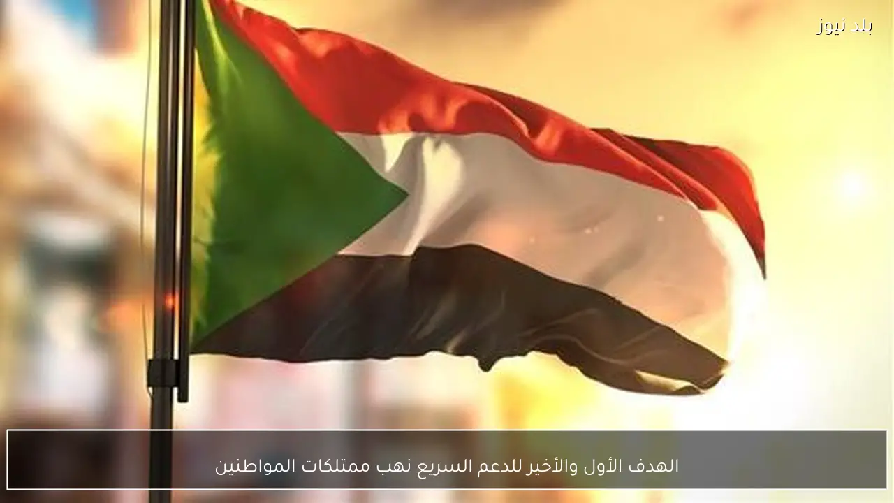 الهدف الأول والأخير للدعم السريع نهب ممتلكات المواطنين