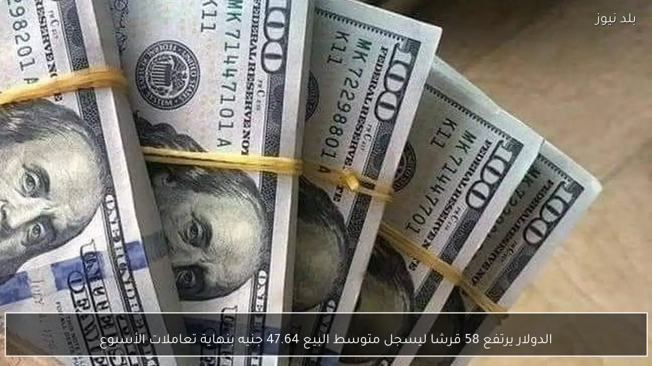 الدولار يرتفع 58 قرشا ليسجل متوسط البيع 47.64 جنيه بنهاية تعاملات الأسبوع