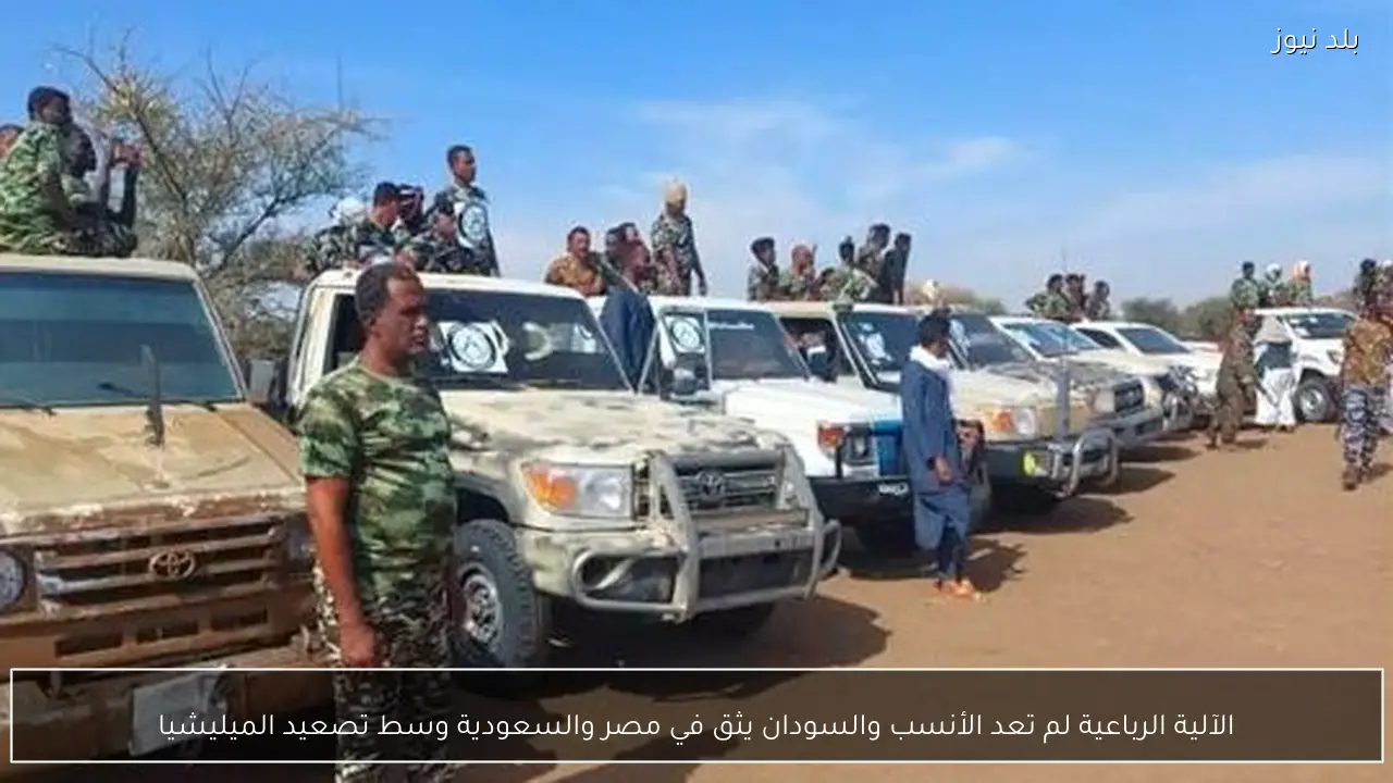 الآلية الرباعية لم تعد الأنسب والسودان يثق في مصر والسعودية وسط تصعيد الميليشيا