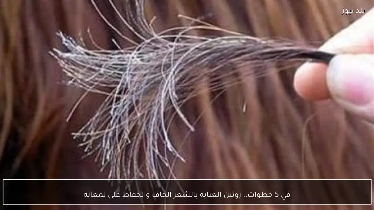 في 5 خطوات.. روتين العناية بالشعر الجاف والحفاظ على لمعانه