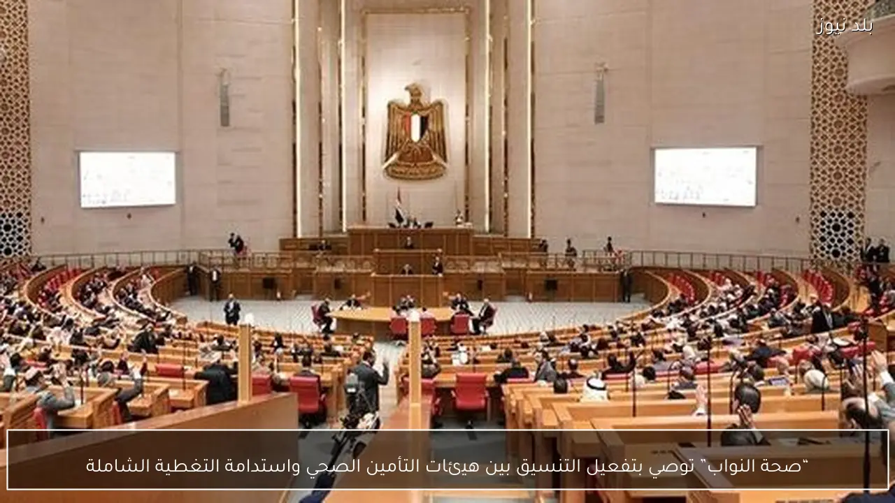 “صحة النواب” توصي بتفعيل التنسيق بين هيئات التأمين الصحي واستدامة التغطية الشاملة