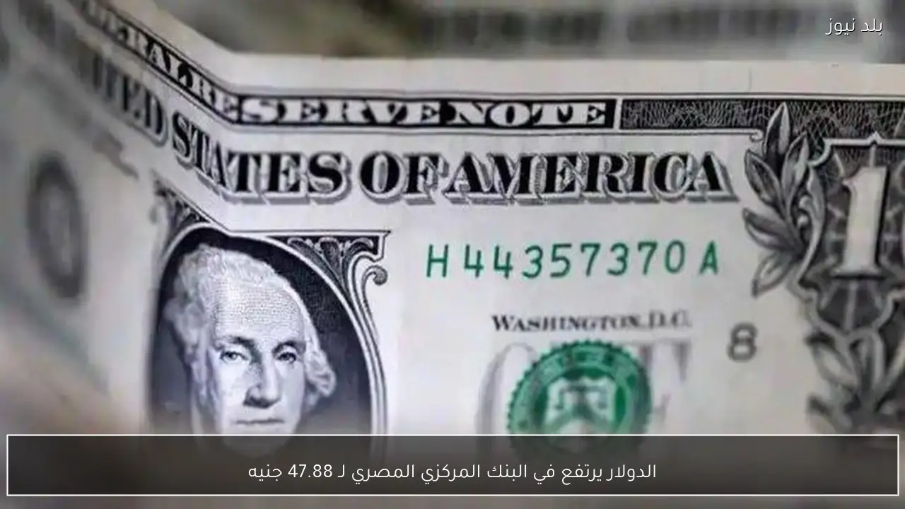 الدولار يرتفع في البنك المركزي المصري لـ 47.88 جنيه
