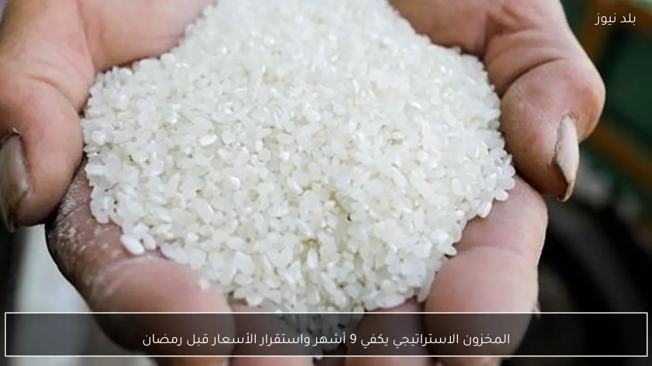 المخزون الاستراتيجي يكفي 9 أشهر واستقرار الأسعار قبل رمضان