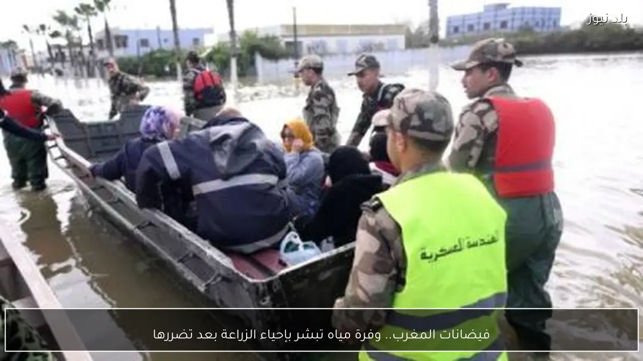 فيضانات المغرب.. وفرة مياه تبشر بإحياء الزراعة بعد تضررها