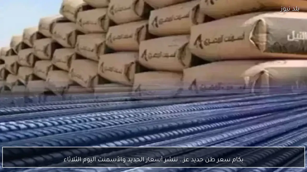 بكام سعر طن حديد عز.. ننشر أسعار الحديد والأسمنت اليوم الثلاثاء