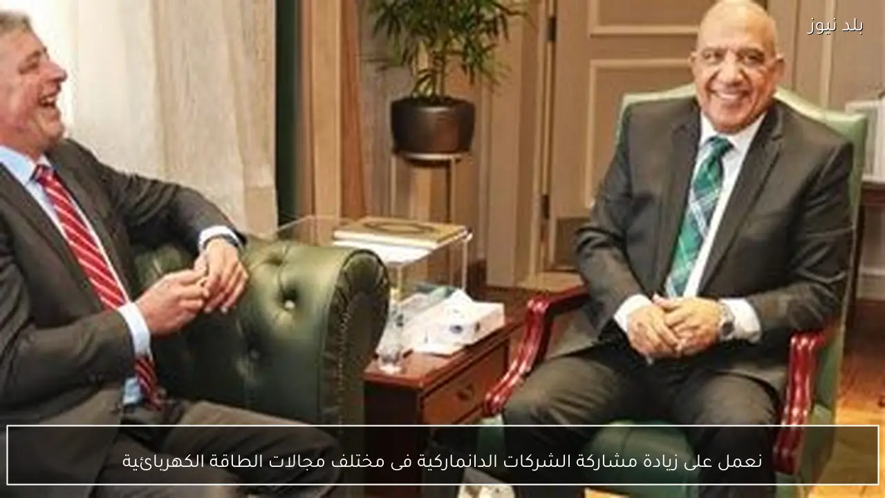 نعمل على زيادة مشاركة الشركات الدانماركية فى مختلف مجالات الطاقة الكهربائية