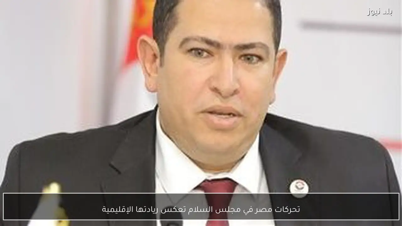 تحركات مصر في مجلس السلام تعكس ريادتها الإقليمية