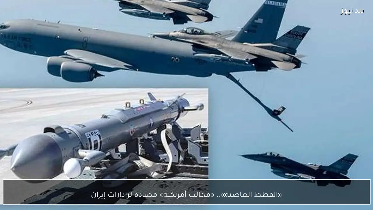 «القطط الغاضبة».. «مخالب أمريكية» مضادة لرادارات إيران