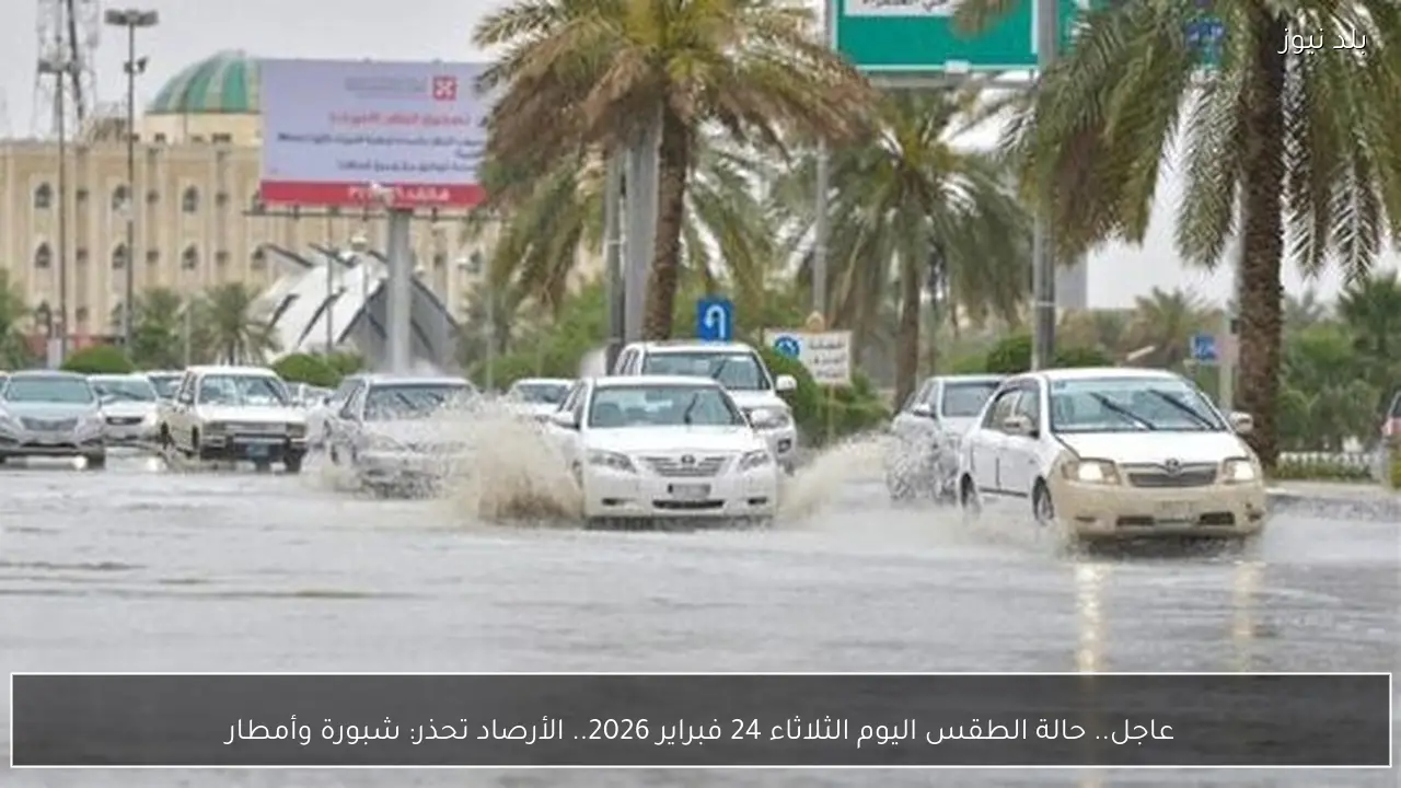 عاجل.. حالة الطقس اليوم الثلاثاء 24 فبراير 2026.. الأرصاد تحذر: شبورة وأمطار