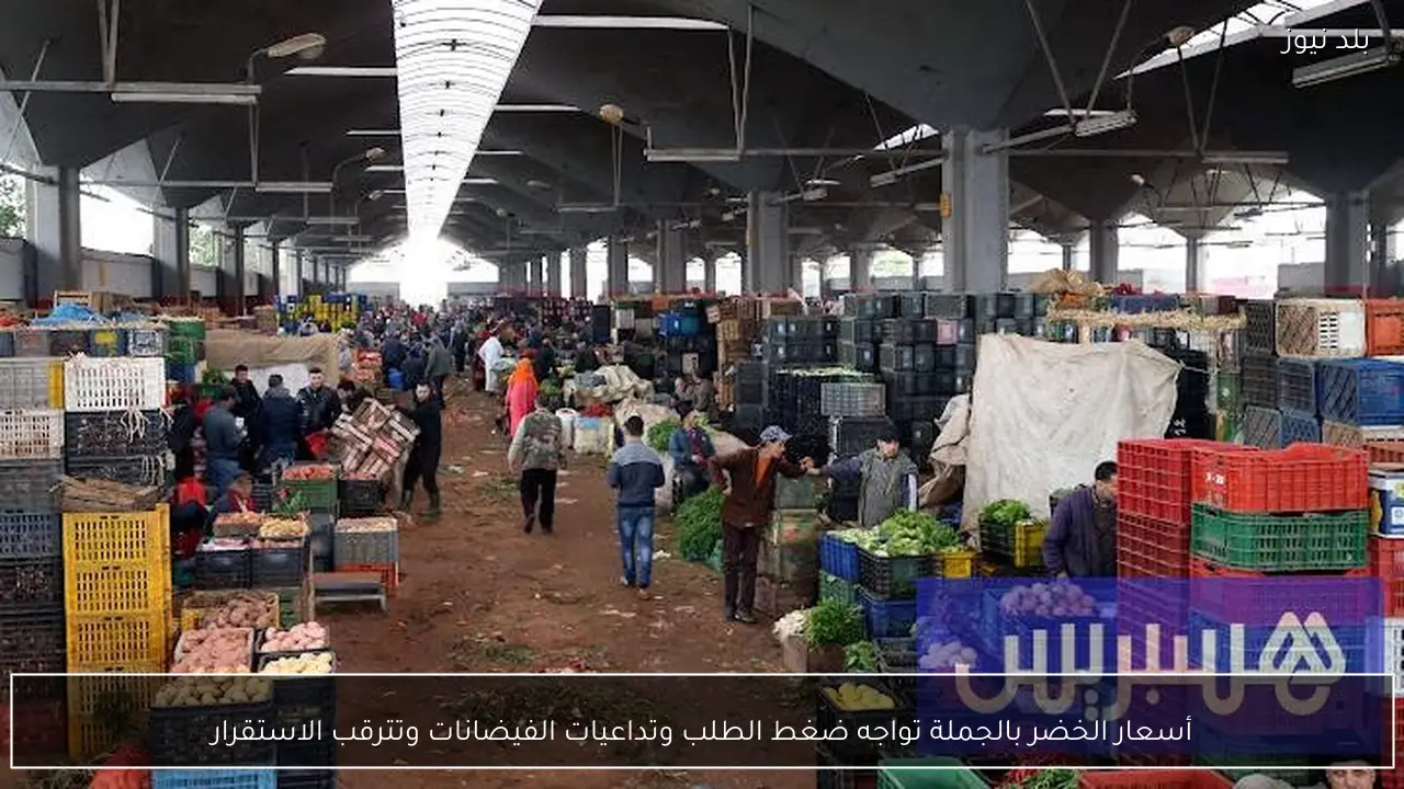أسعار الخضر بالجملة تواجه ضغط الطلب وتداعيات الفيضانات وتترقب الاستقرار