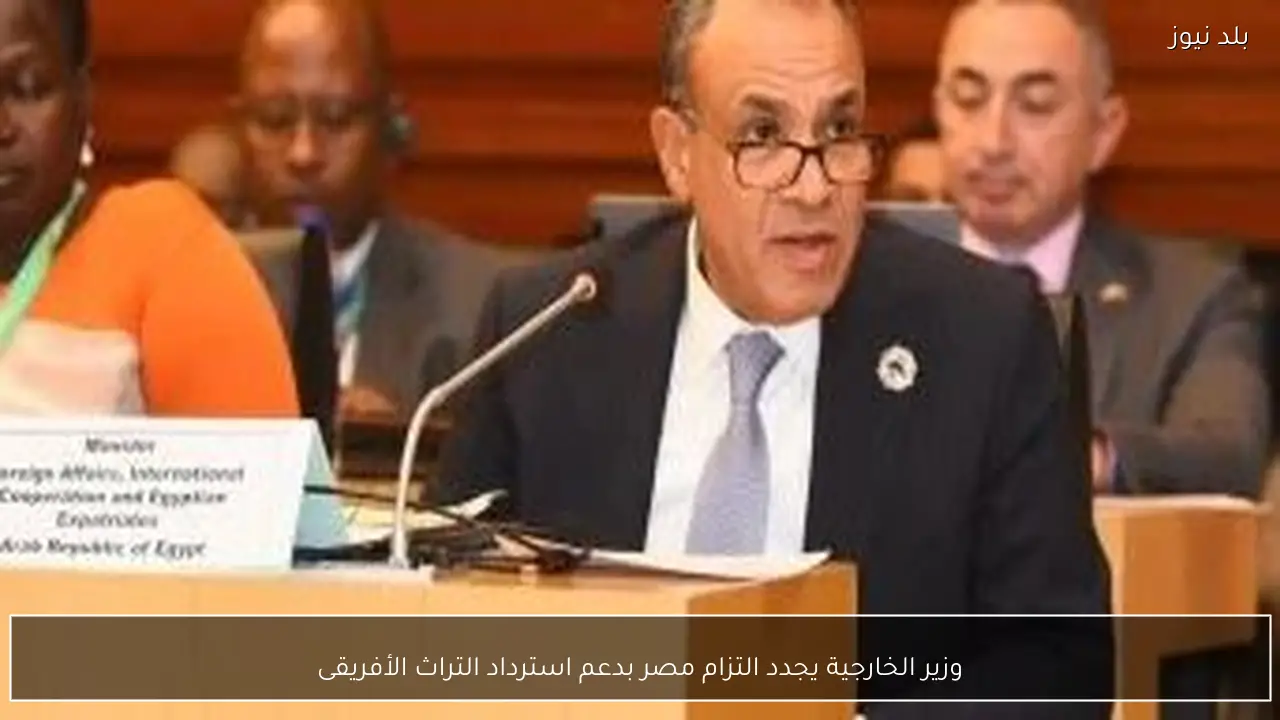 وزير الخارجية يجدد التزام مصر بدعم استرداد التراث الأفريقى