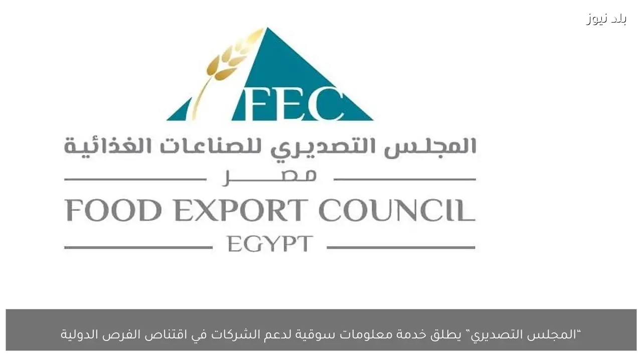 “المجلس التصديري” يطلق خدمة معلومات سوقية لدعم الشركات في اقتناص الفرص الدولية