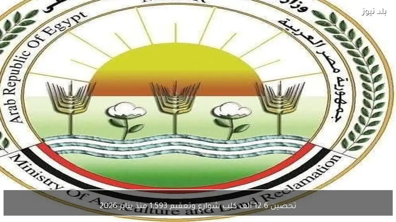 تحصين 12.6 ألف كلب شوارع وتعقيم 1,593 منذ يناير 2026