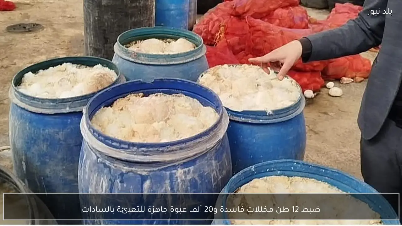 ضبط 12 طن مخللات فاسدة و20 ألف عبوة جاهزة للتعبئة بالسادات