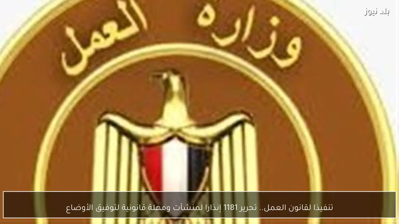 تنفيذا لقانون العمل.. تحرير 1181 إنذارا لمنشآت ومهلة قانونية لتوفيق الأوضاع