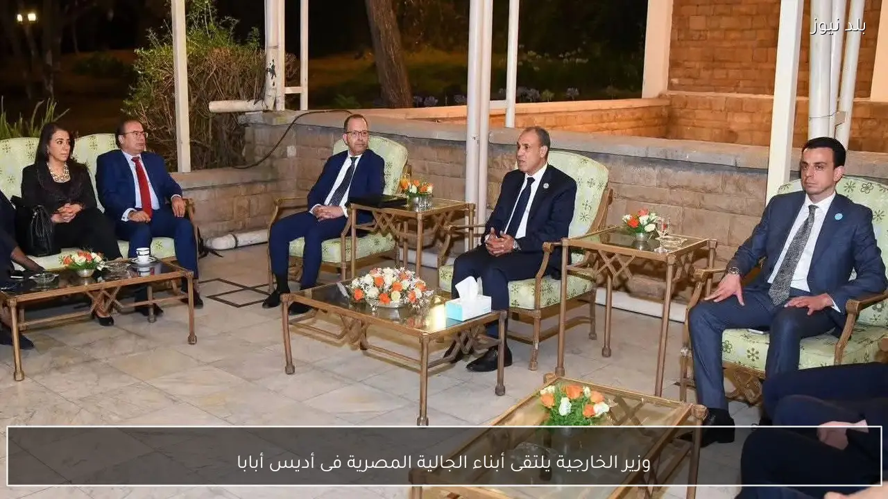 وزير الخارجية يلتقى أبناء الجالية المصرية فى أديس أبابا