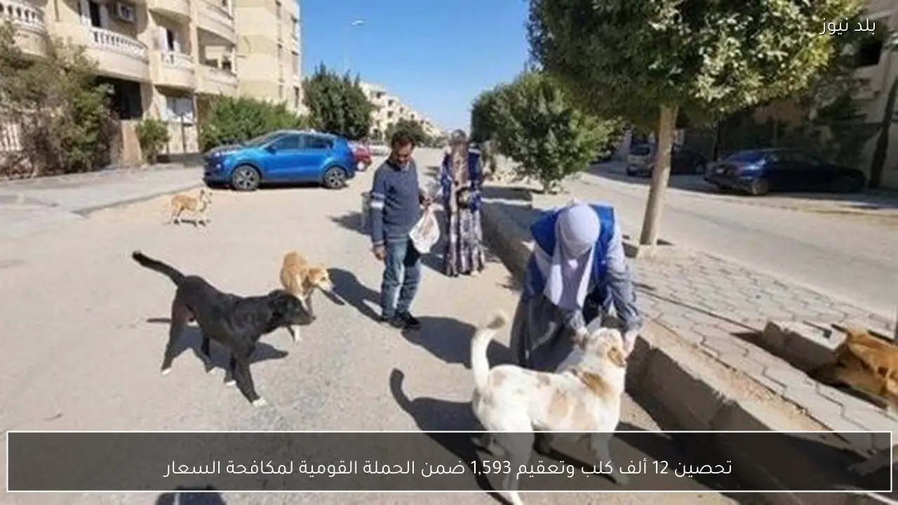 تحصين 12 ألف كلب وتعقيم 1,593 ضمن الحملة القومية لمكافحة السعار