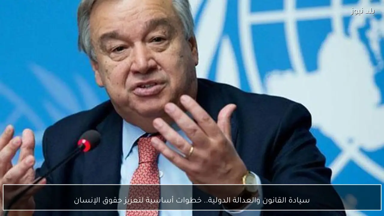 سيادة القانون والعدالة الدولية.. خطوات أساسية لتعزيز حقوق الإنسان