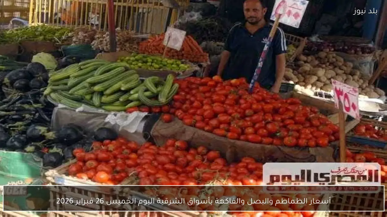 أسعار الطماطم والبصل والفاكهة بأسواق الشرقية اليوم الخميس 26 فبراير 2026