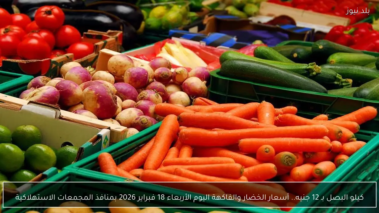 كيلو البصل بـ 12 جنيه.. أسعار الخضار والفاكهة اليوم الأربعاء 18 فبراير 2026 بمنافذ المجمعات الاستهلاكية