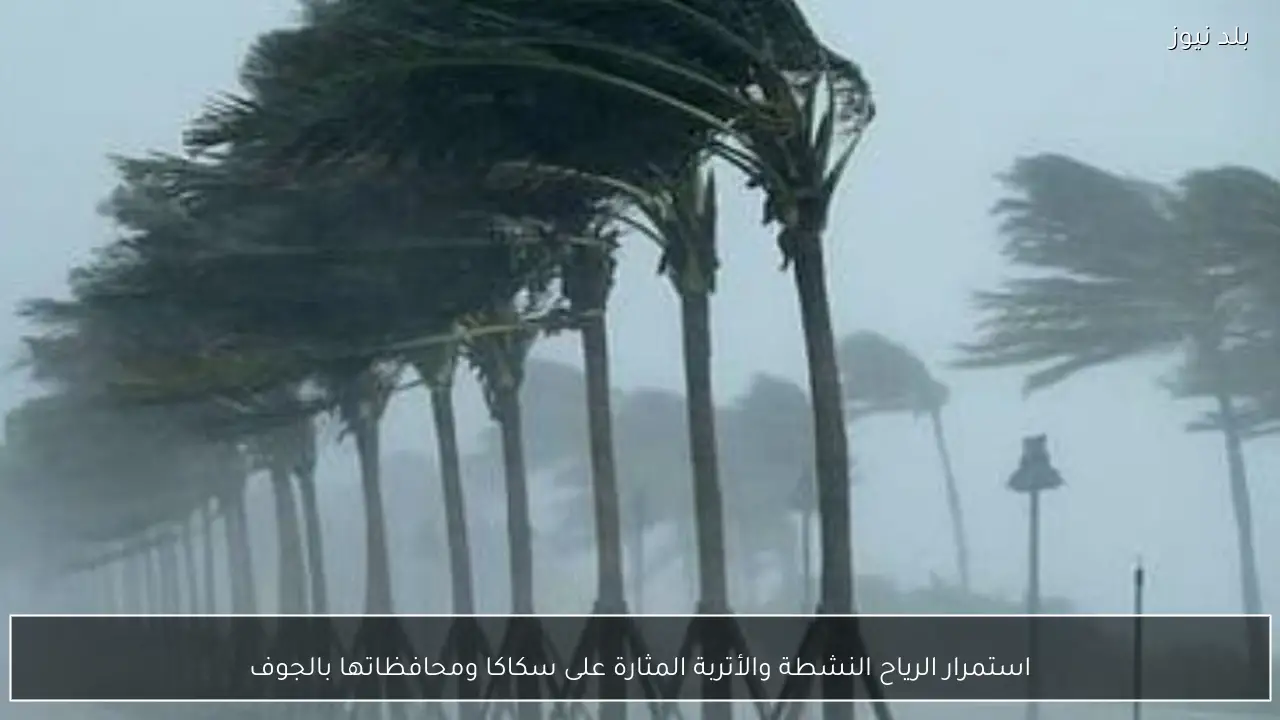 استمرار الرياح النشطة والأتربة المثارة على سكاكا ومحافظاتها بالجوف