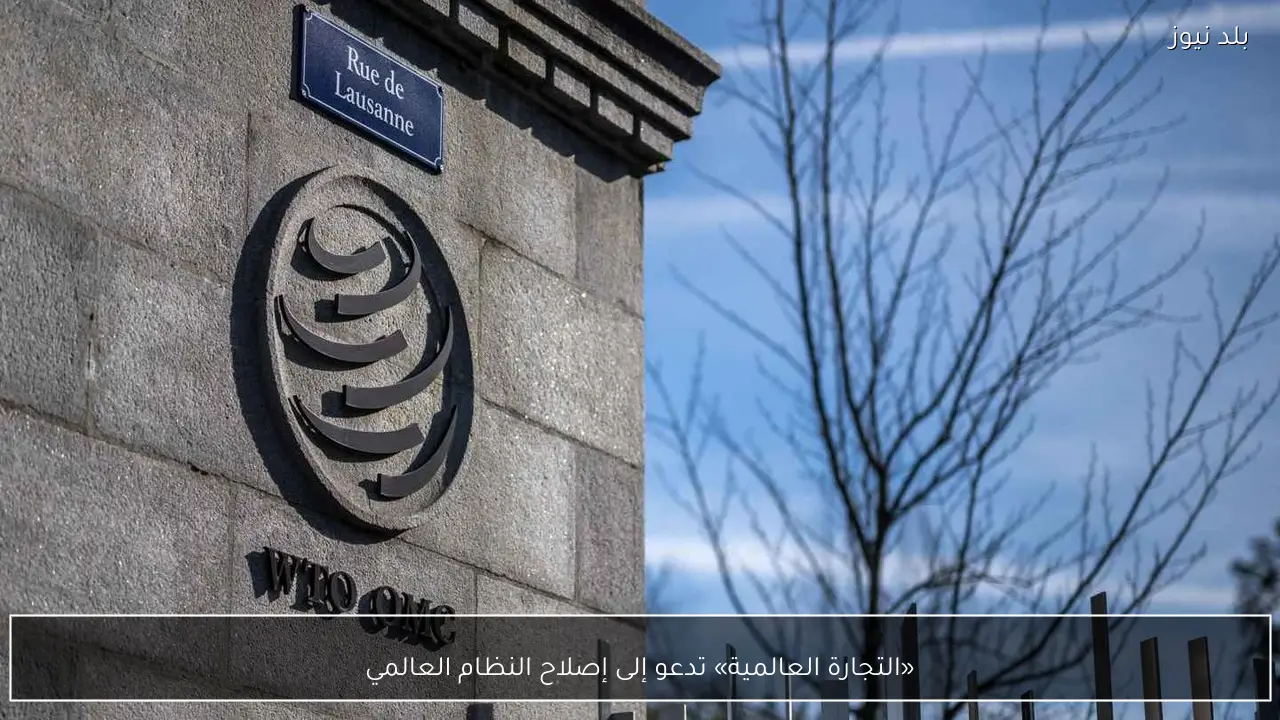 «التجارة العالمية» تدعو إلى إصلاح النظام العالمي