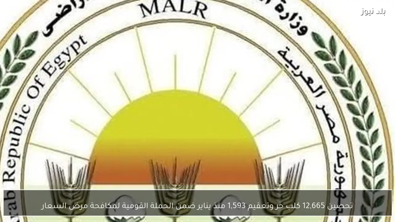 تحصين 12,665 كلب حر وتعقيم 1,593 منذ يناير ضمن الحملة القومية لمكافحة مرض السعار