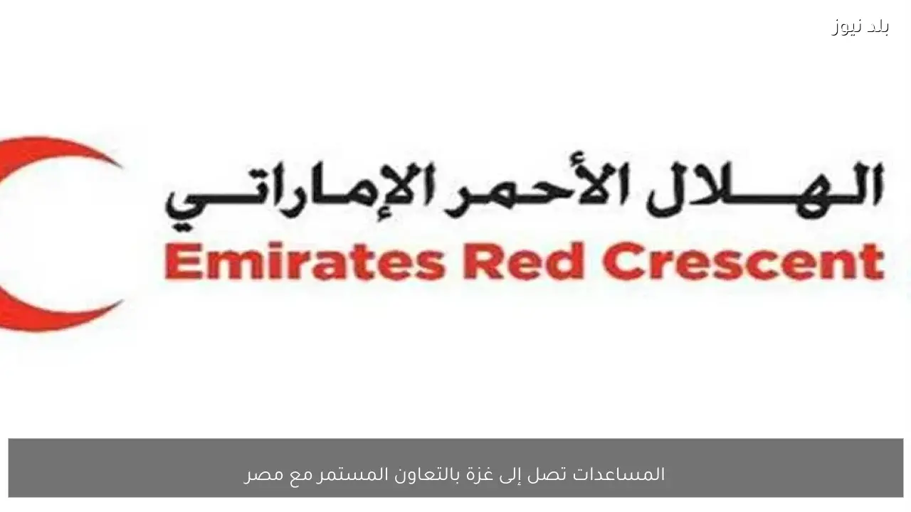 المساعدات تصل إلى غزة بالتعاون المستمر مع مصر