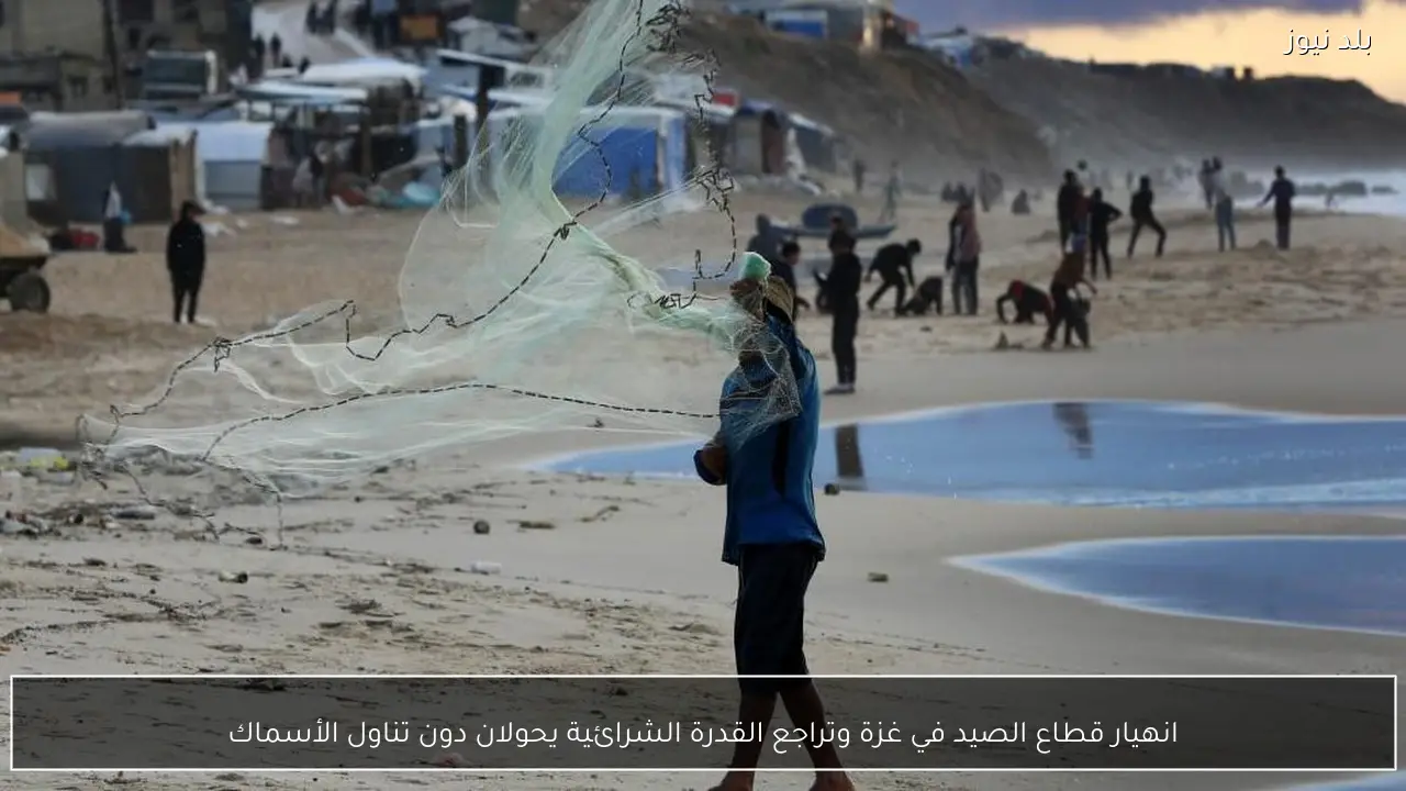 انهيار قطاع الصيد في غزة وتراجع القدرة الشرائية يحولان دون تناول الأسماك