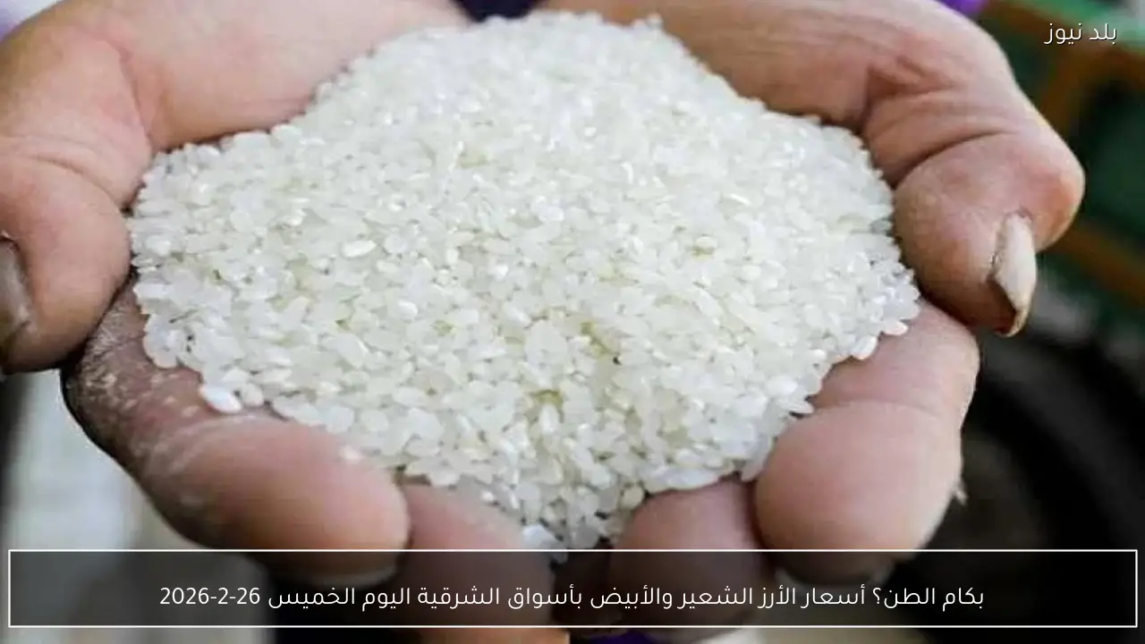 بكام الطن؟ أسعار الأرز الشعير والأبيض بأسواق الشرقية اليوم الخميس 26-2-2026