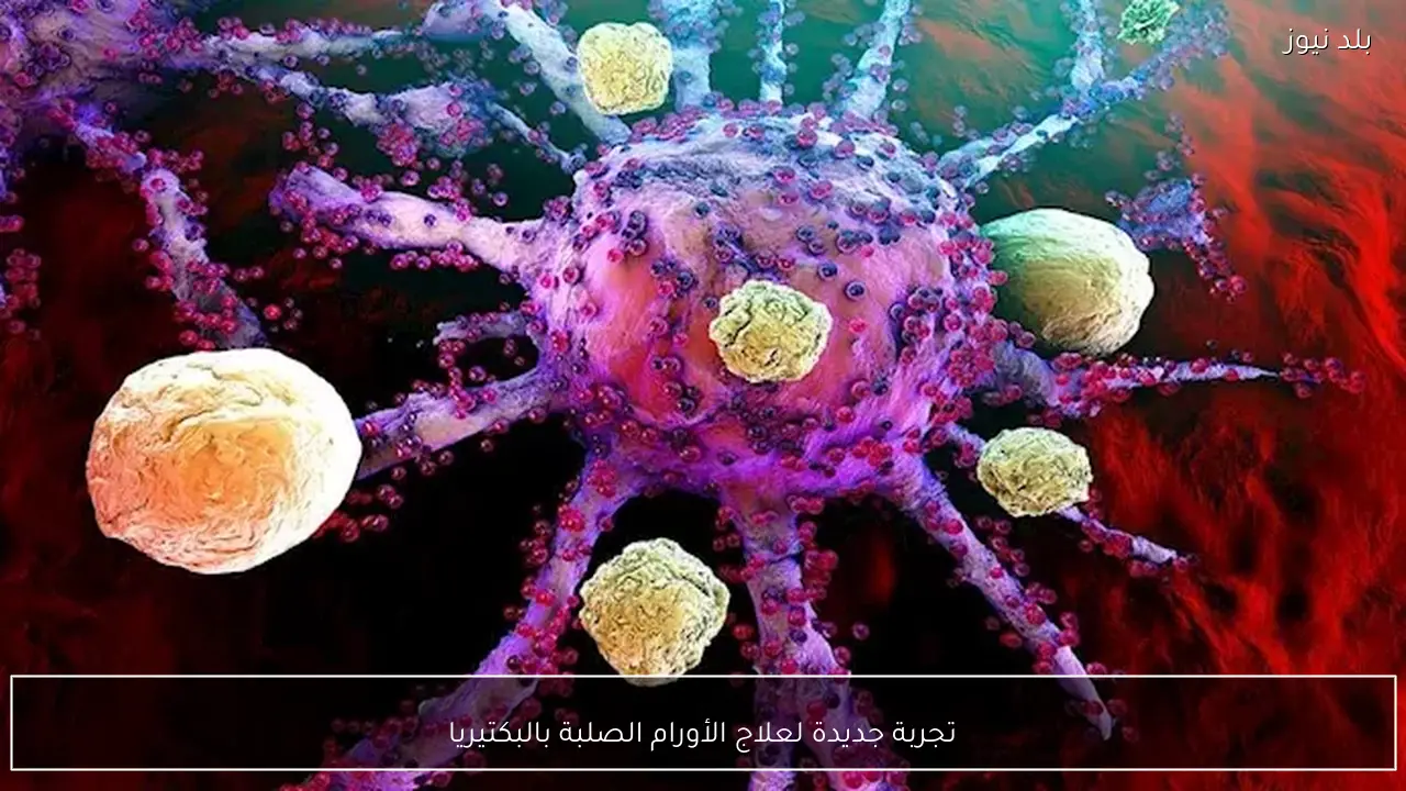 تجربة جديدة لعلاج الأورام الصلبة بالبكتيريا