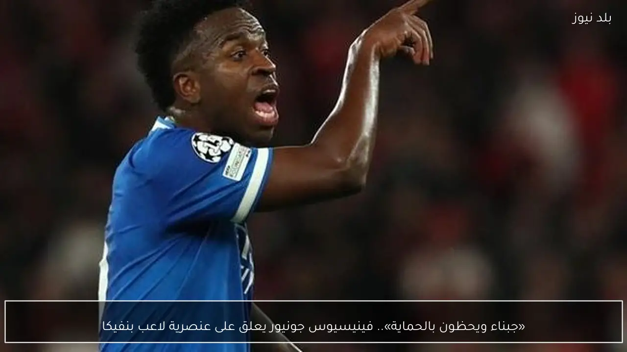 «جبناء ويحظون بالحماية».. فينيسيوس جونيور يعلق على عنصرية لاعب بنفيكا