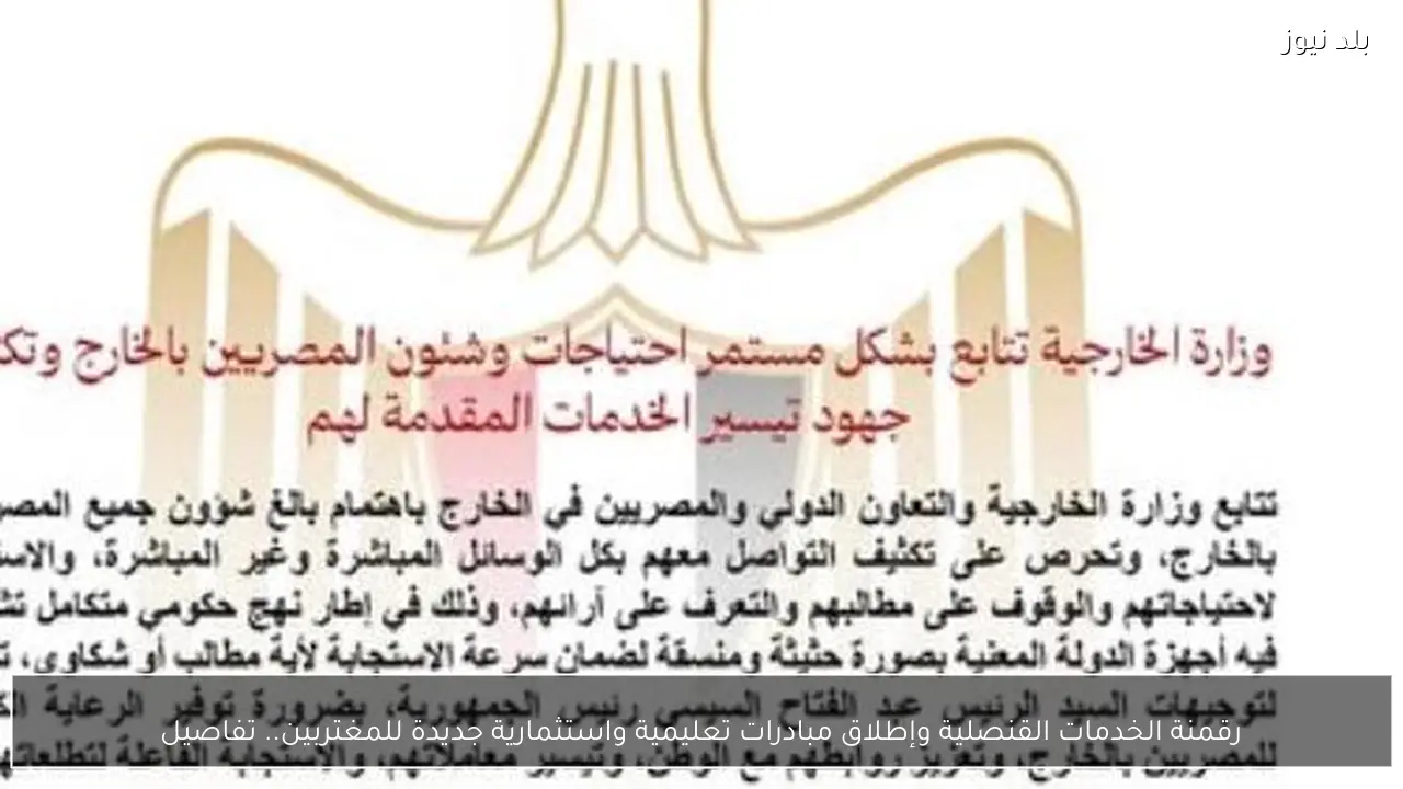 رقمنة الخدمات القنصلية وإطلاق مبادرات تعليمية واستثمارية جديدة للمغتربين.. تفاصيل