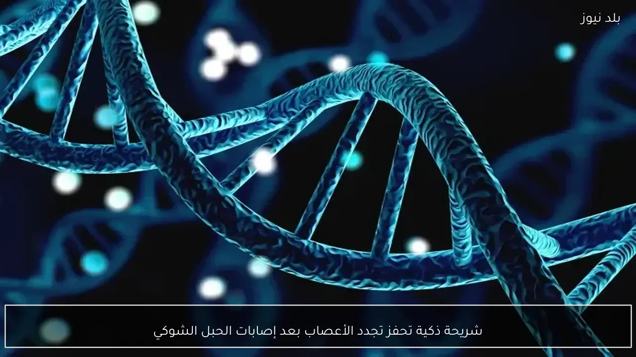 شريحة ذكية تحفز تجدد الأعصاب بعد إصابات الحبل الشوكي