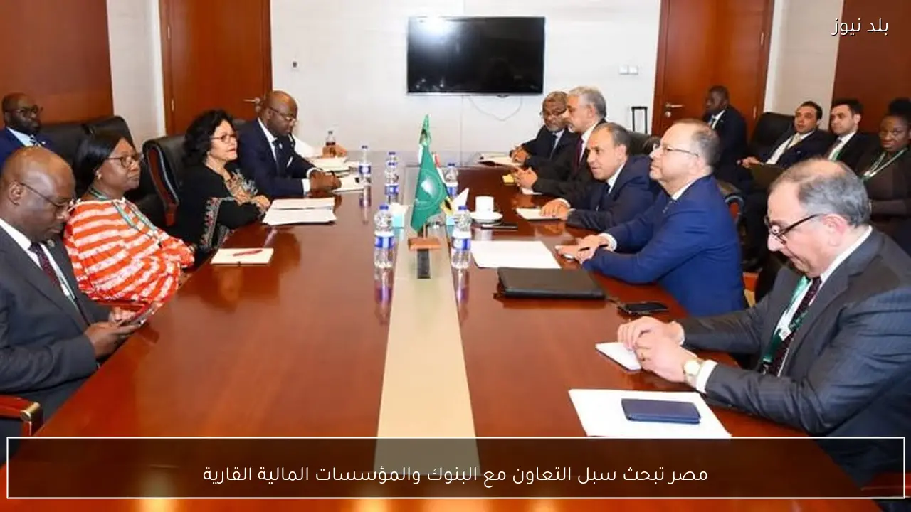 مصر تبحث سبل التعاون مع البنوك والمؤسسات المالية القارية