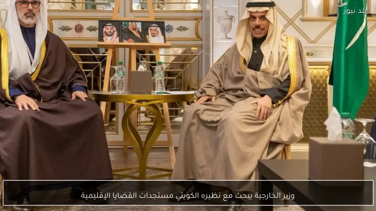 وزير الخارجية يبحث مع نظيره الكويتي مستجدات القضايا الإقليمية