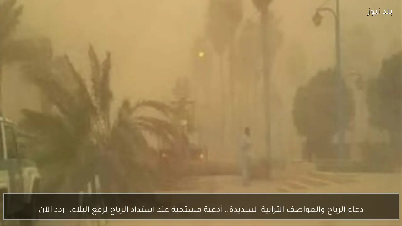 دعاء الرياح والعواصف الترابية الشديدة.. أدعية مستحبة عند اشتداد الرياح لرفع البلاء.. ردد الآن
