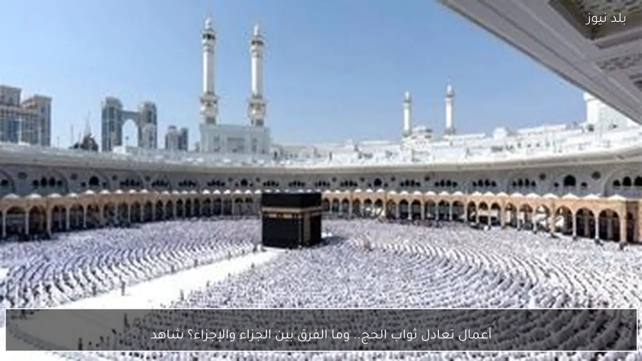 أعمال تعادل ثواب الحج.. وما الفرق بين الجزاء والإجزاء؟ شاهد