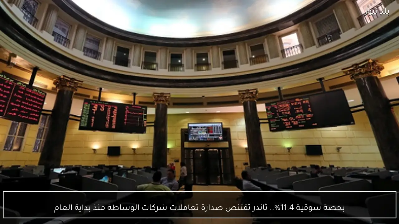 بحصة سوقية 11.4%.. ثاندر تقتنص صدارة تعاملات شركات الوساطة منذ بداية العام