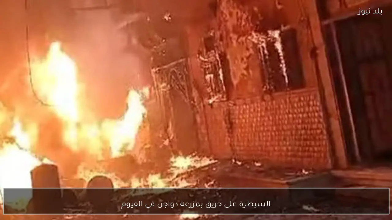 السيطرة على حريق بمزرعة دواجن في الفيوم