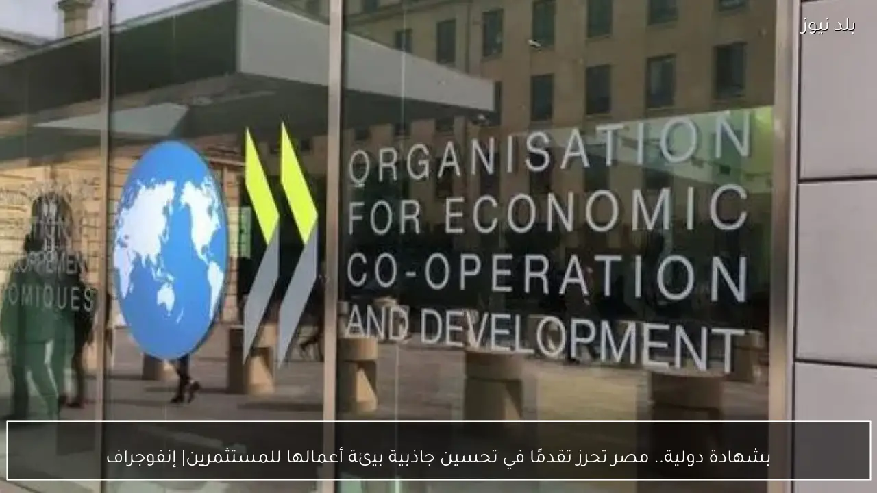 بشهادة دولية.. مصر تحرز تقدمًا في تحسين جاذبية بيئة أعمالها للمستثمرين| إنفوجراف