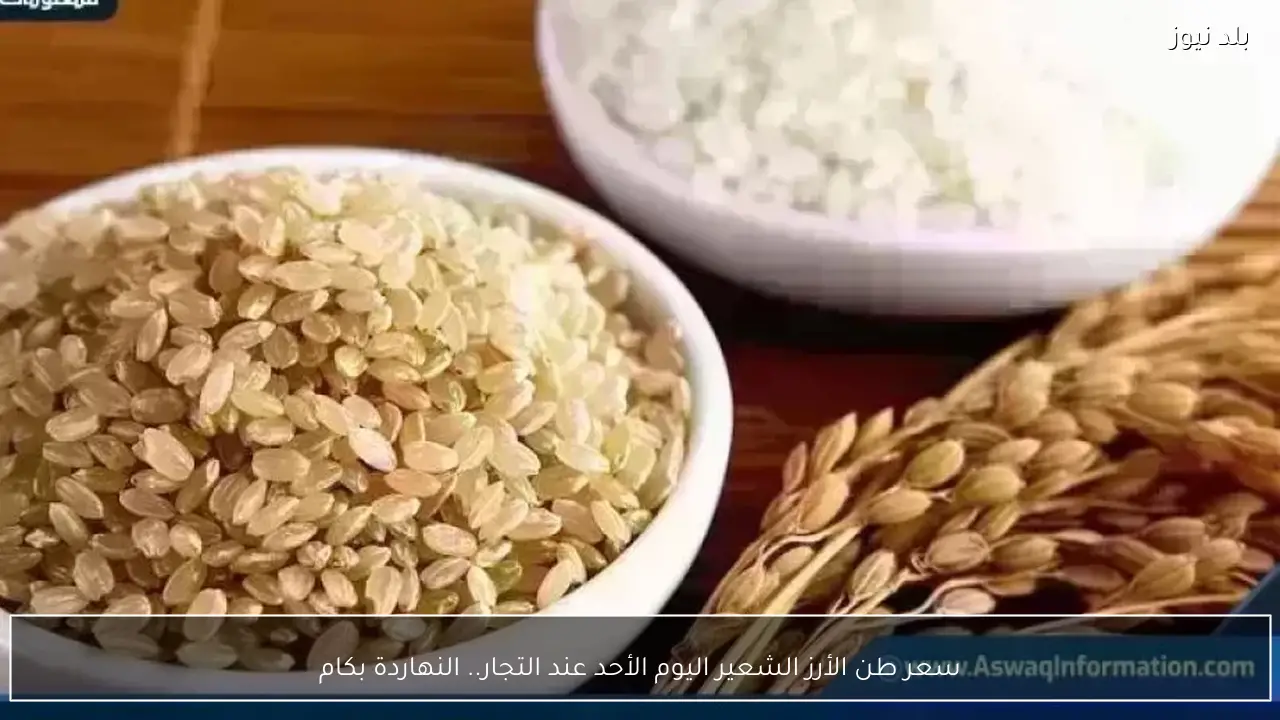 سعر طن الأرز الشعير اليوم الأحد عند التجار.. النهاردة بكام