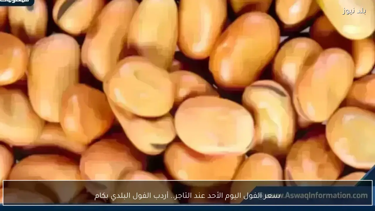 سعر الفول اليوم الأحد عند التاجر.. أردب الفول البلدي بكام