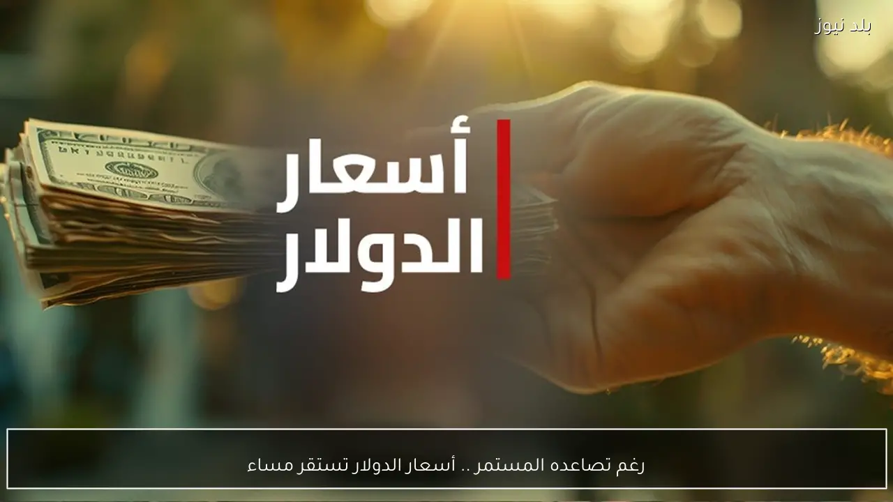 رغم تصاعده المستمر .. أسعار الدولار تستقر مساء