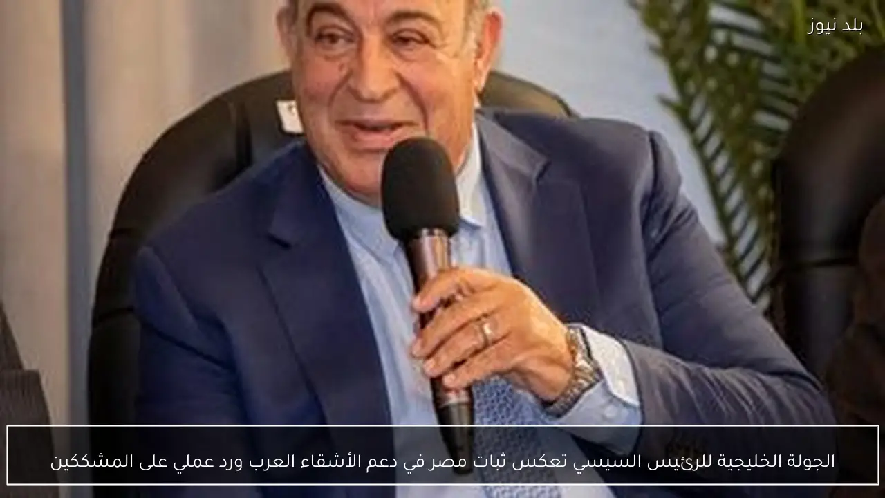 الجولة الخليجية للرئيس السيسي تعكس ثبات مصر في دعم الأشقاء العرب ورد عملي على المشككين