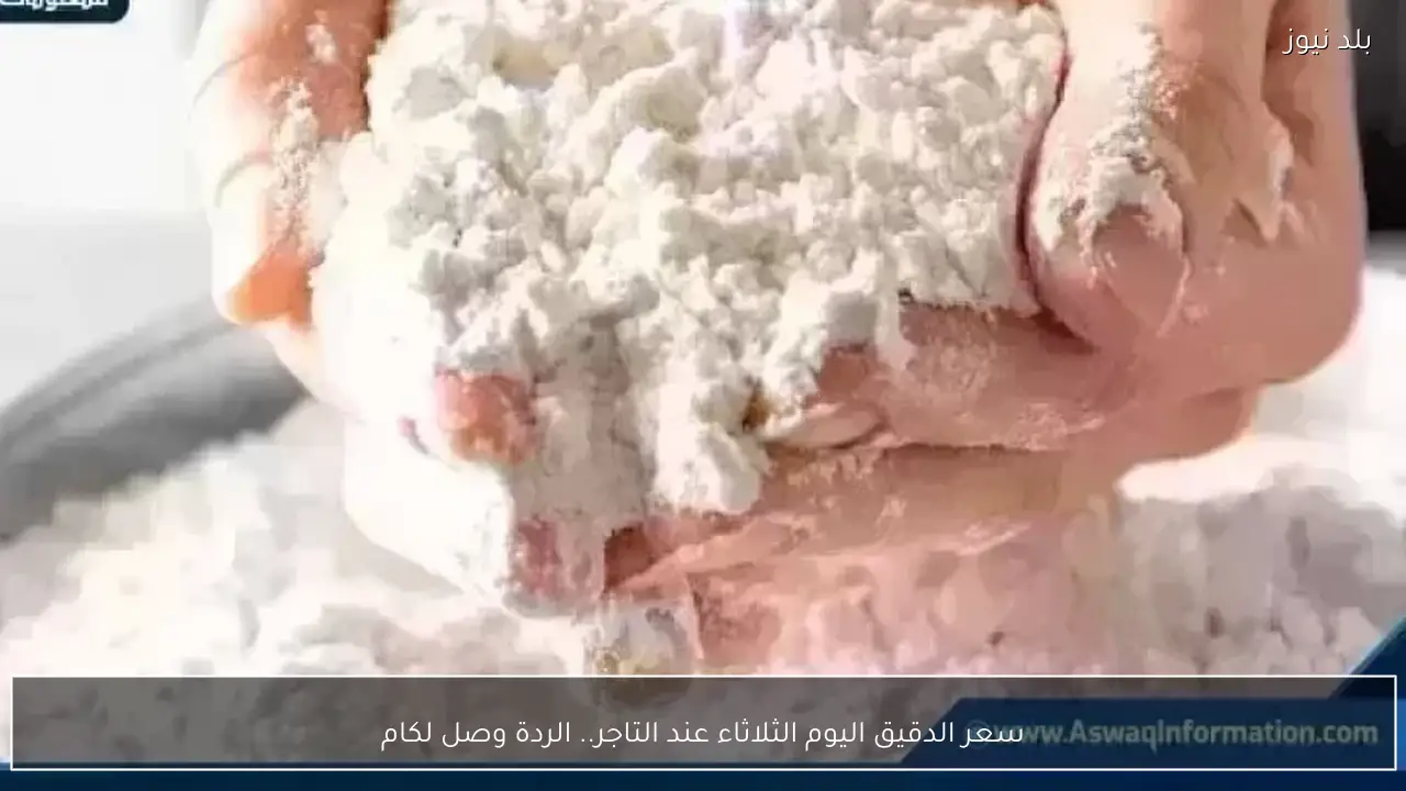 سعر الدقيق اليوم الثلاثاء عند التاجر.. الردة وصل لكام